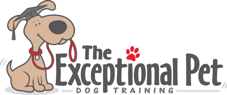 Dog and Puppy Training for Newtown - Southbury - Danbury CT. The  Exceptional Pet